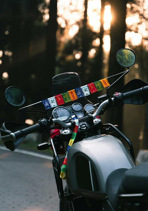 Bike Rental